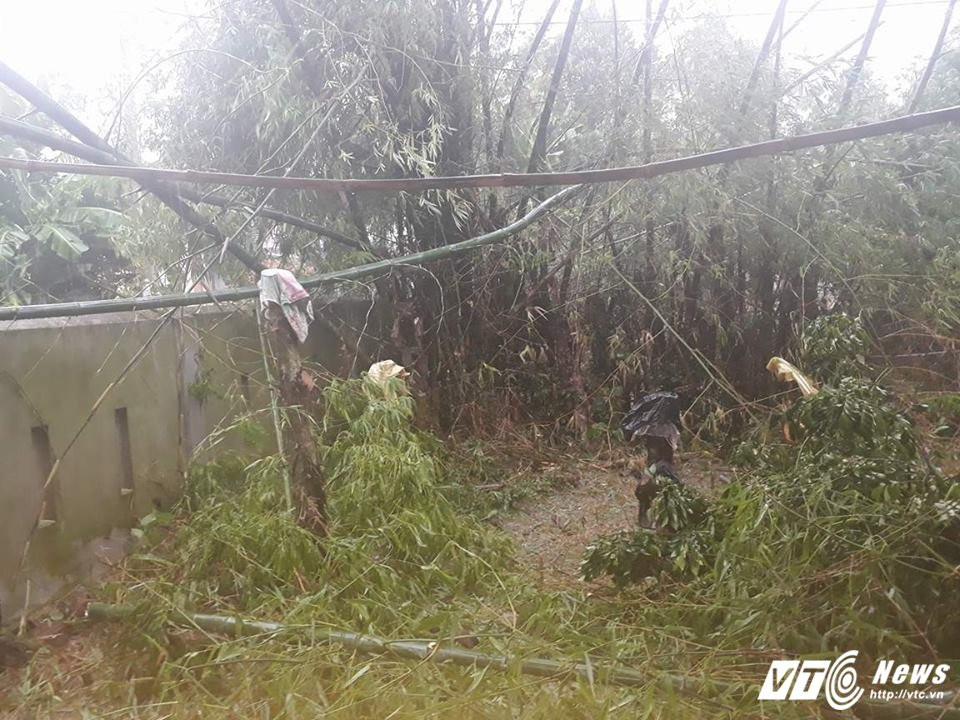 21754203_2102664239961063_1764461418_n 3