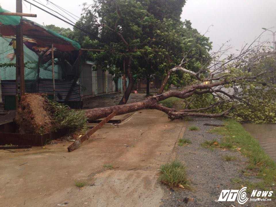 thông tin bão số 10