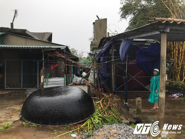 21767743_1487564221333627_1808990114_n 3