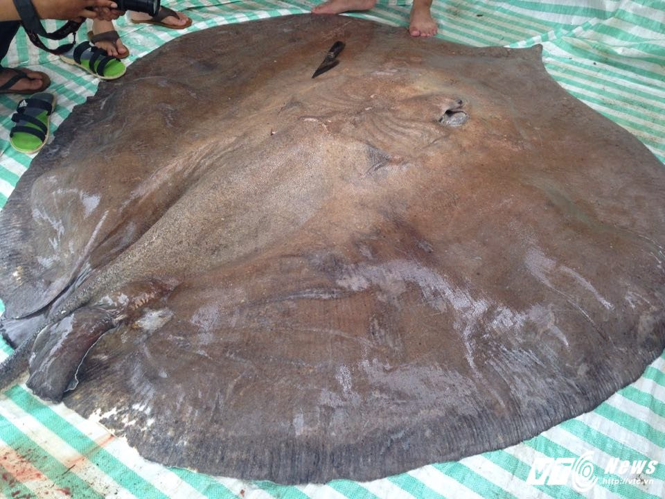 21905298_1145277565575438_816461402_n