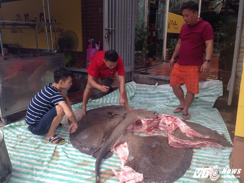 21919298_1145278308908697_845331317_n 3