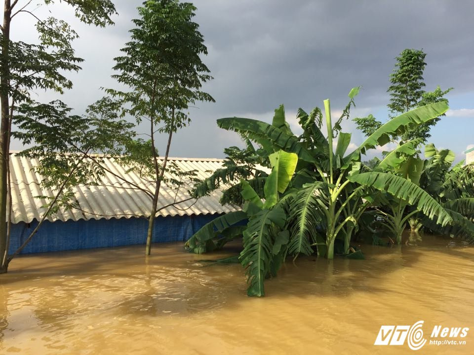 22446913_927025790784824_1464985563_n 9