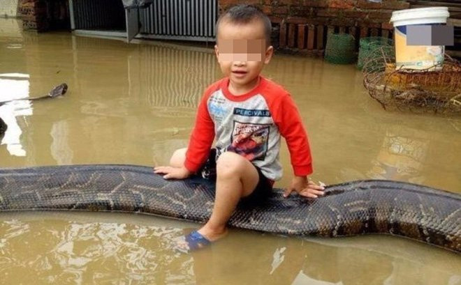 20171014-011951-3ysbdthumb-1508167153056-44-0-449-653-crop-1508167173183