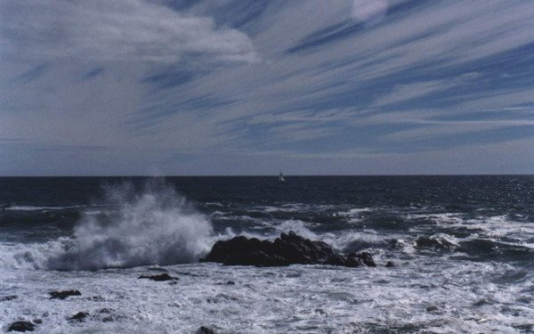 ap_thap_nhiet_doi_1__omrs