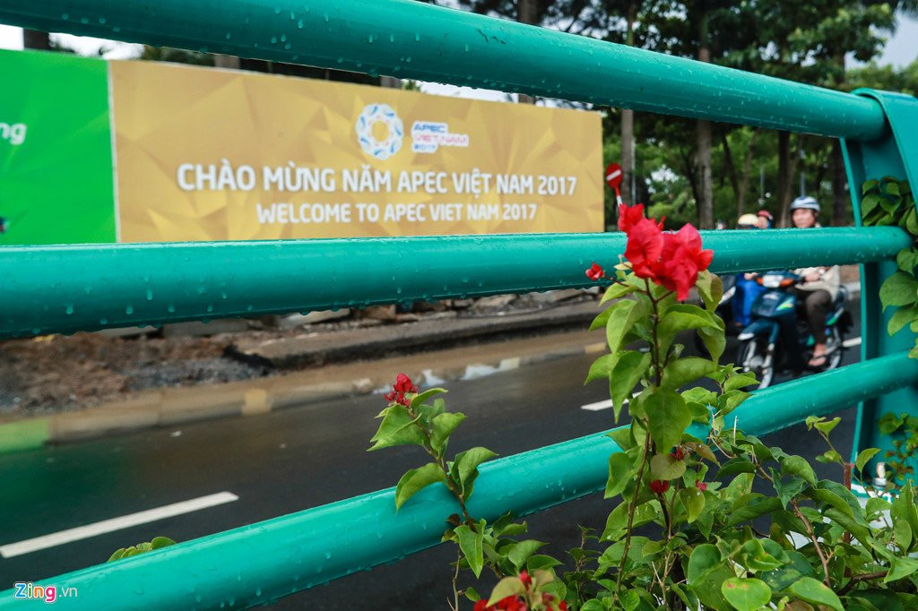 Ham chui 120 ty phuc vu APEC thong xe trong mua hinh anh 6