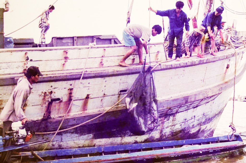 Con ac mong 20 nam sau bao Linda hinh anh 3