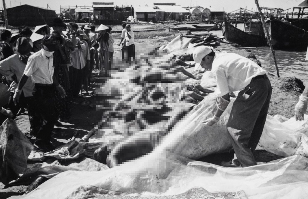 Con ac mong 20 nam sau bao Linda hinh anh 4