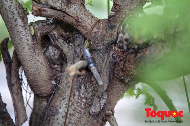 Nhà sinh viên Pháp Vân - Tứ Hiệp: Dùng máy xúc để dọn kim tiêm - ảnh 14