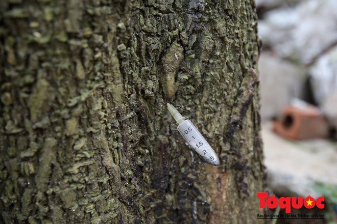 Nhà sinh viên Pháp Vân - Tứ Hiệp: Dùng máy xúc để dọn kim tiêm - ảnh 13