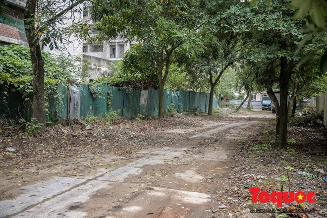 Nhà sinh viên Pháp Vân - Tứ Hiệp: Dùng máy xúc để dọn kim tiêm - ảnh 10