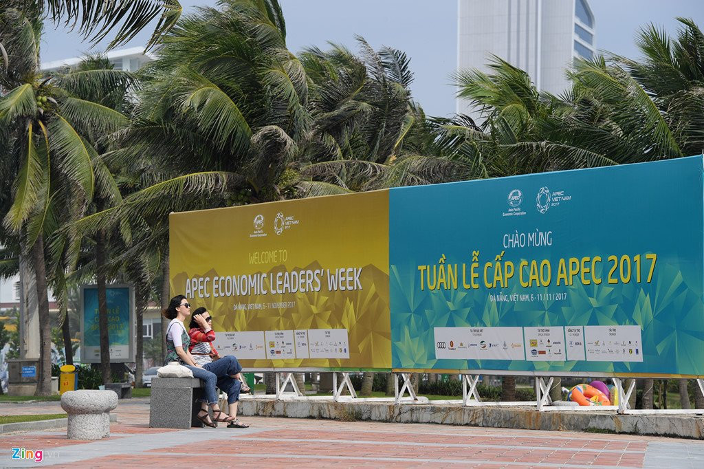 Da Nang trang hoang ruc ro chao don Tuan le cap cao APEC 2017 hinh anh 9