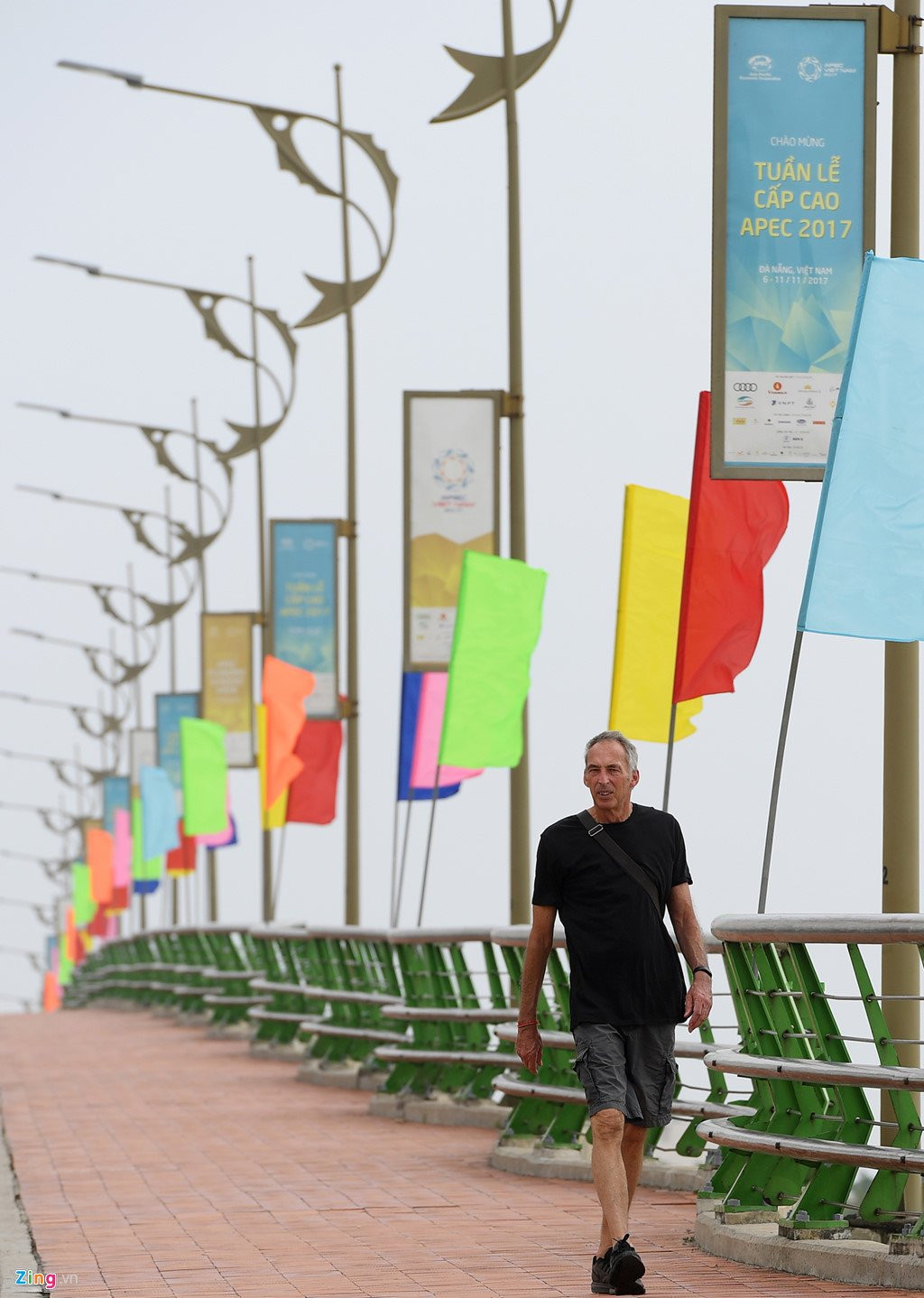 Da Nang trang hoang ruc ro chao don Tuan le cap cao APEC 2017 hinh anh 12