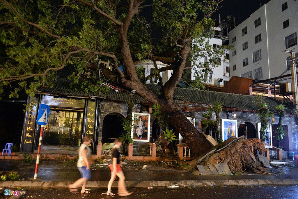 Nha Trang dem dao lon sau tran bao lich su hinh anh 5