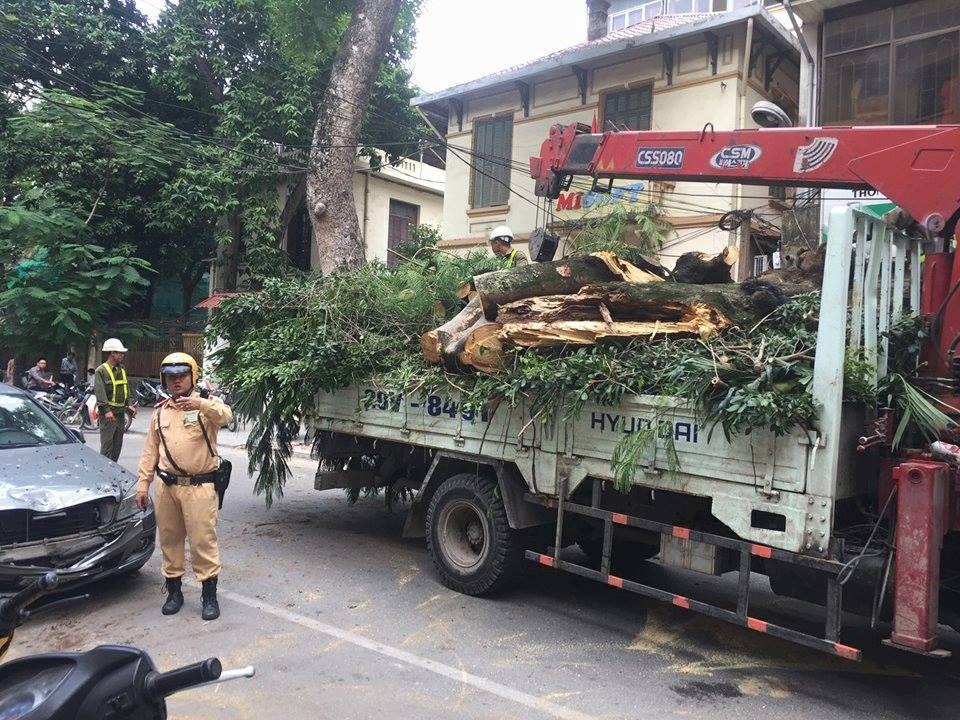 23584789_1370011379787808_228701082_n 3