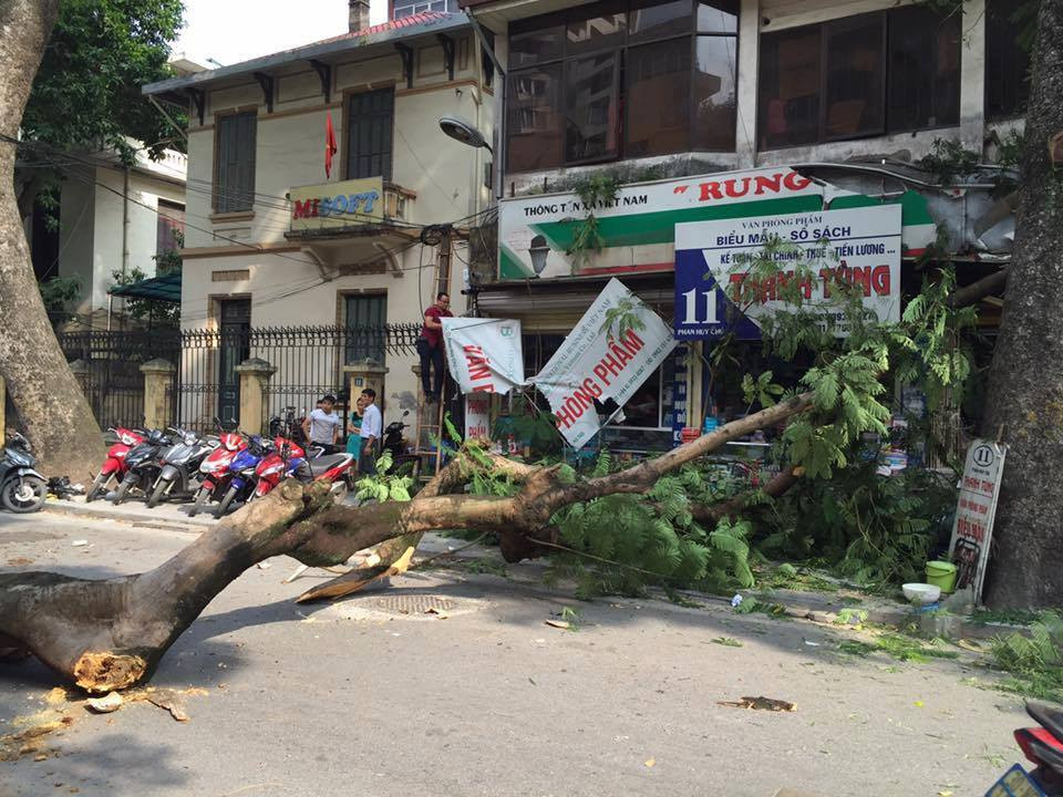 23584819_1370010839787862_921542870_n 3