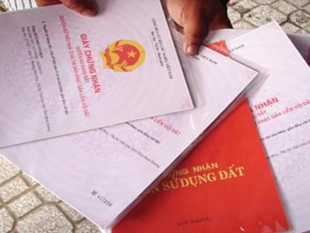 1487574309-thumbnail 3