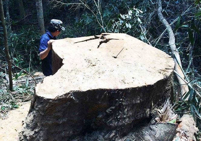 3_5168795_20122017 3