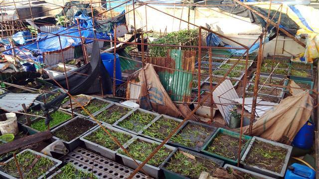 25990826_495164900880922_1687841000_n 8