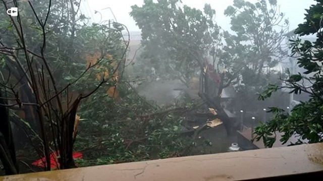 tin bao so 6 moi nhat