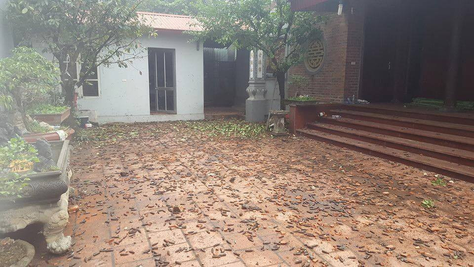 26167930_10208466353975169_8211302908039635753_n 25