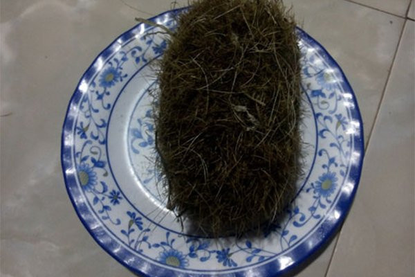 cát lợn ở Quảng Ngãi,Cát Lợn,Quảng Ngãi