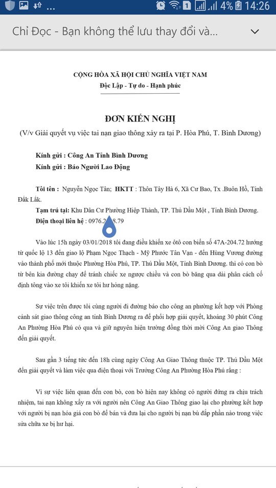 Vụ con bò biến mất: Đã bán hay tiêu hủy? - Ảnh 5.