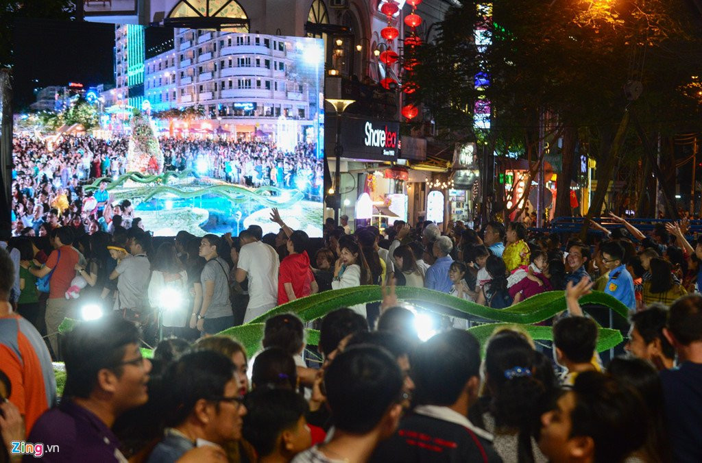 Hang nghin nguoi do ve duong hoa Nguyen Hue trong dem khai mac hinh anh 5