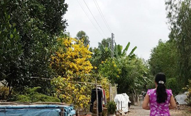 Gia dinh cua nghi pham giet 5 nguoi o Sai Gon so bi tra thu hinh anh 1