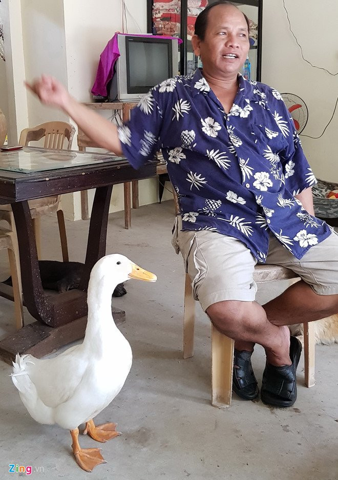 Hy huu chuyen con vit theo chu nhu hinh voi bong hinh anh 1