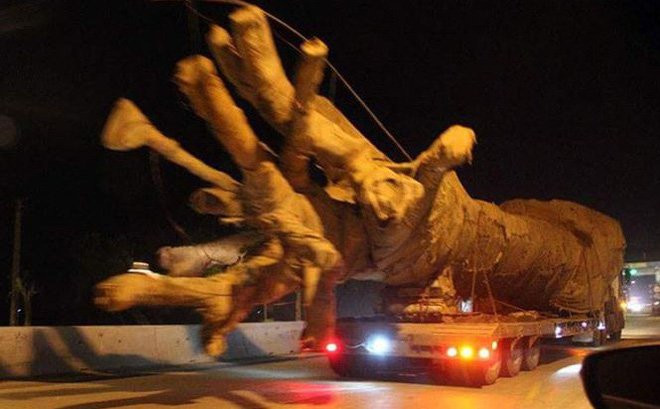 photo1522377237558-15223772375581649471046