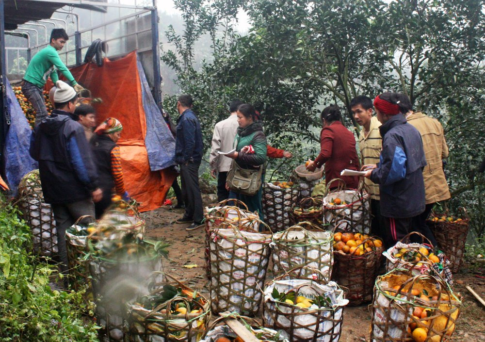 Cam Sanh Viet Gap BQ (PA)