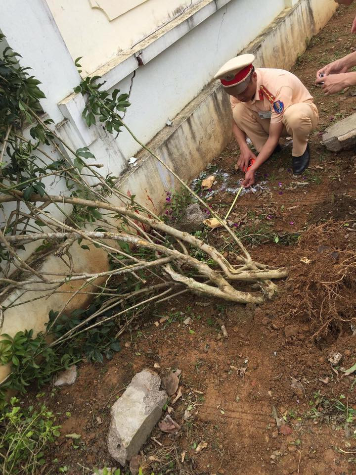 30727471_1689328924508368_5845670589242833019_n