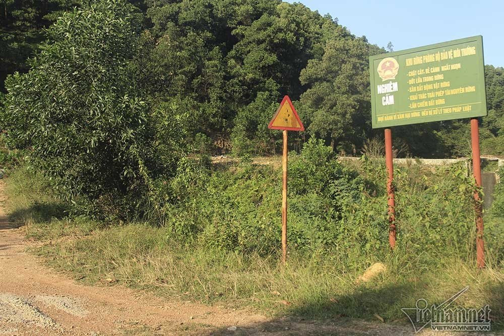 biệt thự,sóc sơn,biệt thự trái phép,Hà Nội