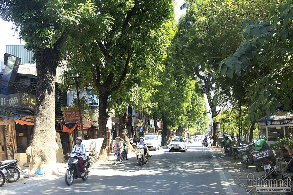 Hoàng Cầu - Voi Phục,đường Vành đai 1,Hà Nội