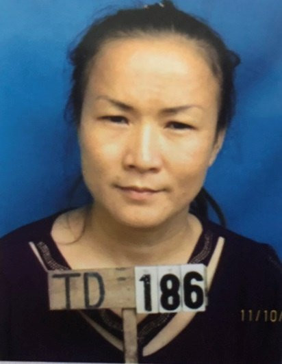 Nghệ An: Khởi tố 2 đối tượng mua bán người - Ảnh 1