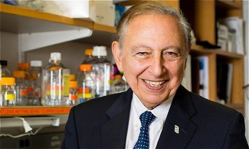 som-1323x713-gallo5-1024x552-1-3849-5597-1543596461