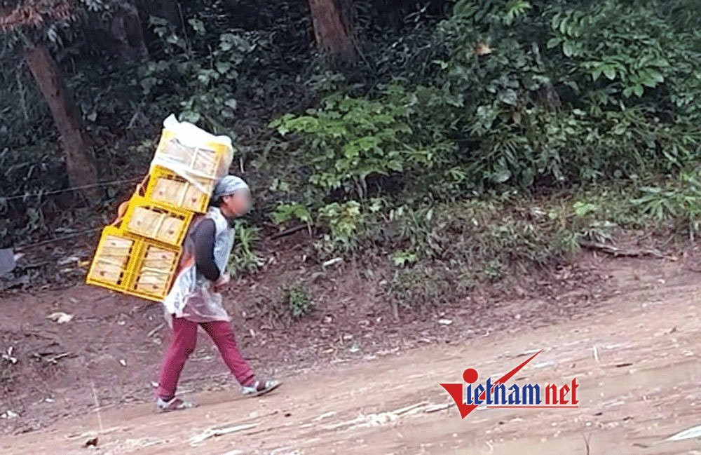 Bí mật ở con đường ‘bán sức’ kiếm tiền triệu mỗi đêm