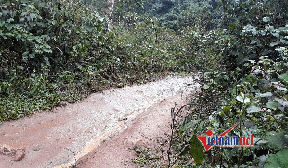 Bí mật ở con đường ‘bán sức’ kiếm tiền triệu mỗi đêm