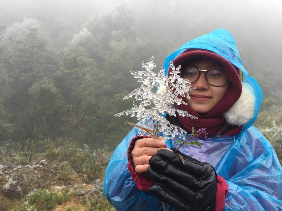 1450352147-o-quy-ho-1