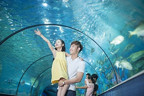 Giai-tri-Times-City-02-1 15