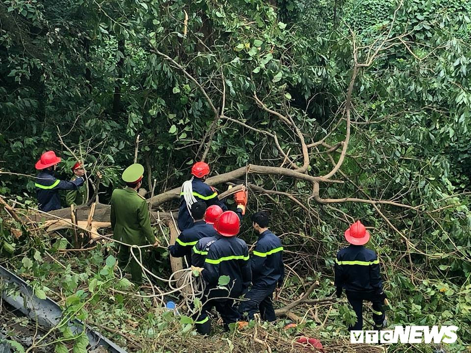 49797507_1564710320339051_8084142385476403200_n 9