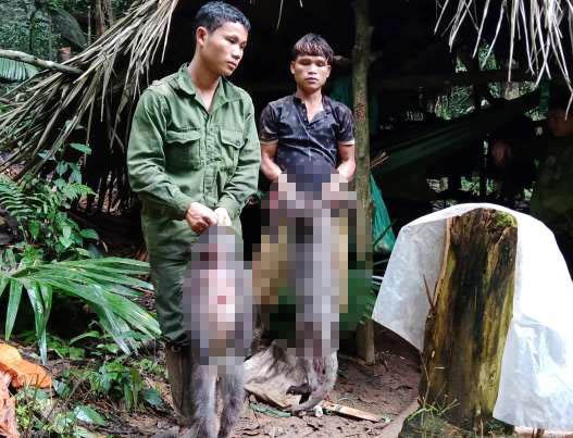 Bat-5-doi-tuong-giet-2-ca-the-Vooc-xam-quy-hiem-bat-5-doi-tuong-giet-2-ca-the-vooc-xam-quy-hiem-a--1547537567-width527height403
