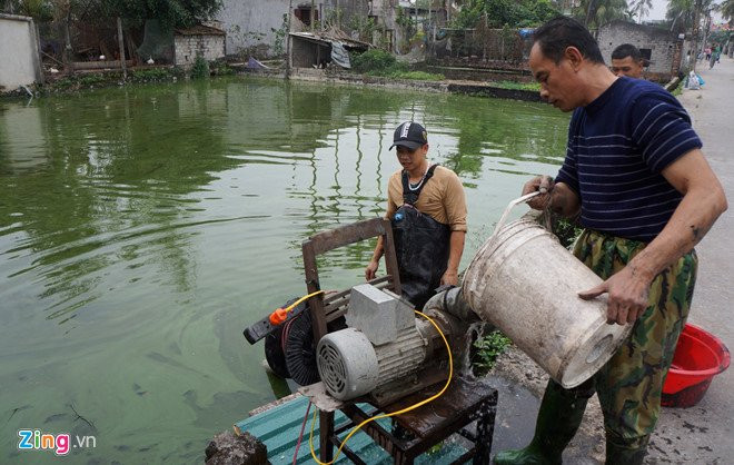 Lang ca chep noi tieng xu Thanh truoc ngay ong Tao ve troi