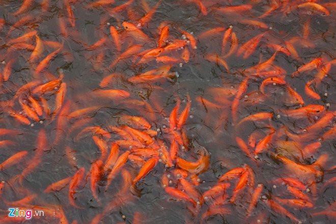 Lang ca chep noi tieng xu Thanh truoc ngay ong Tao ve troi