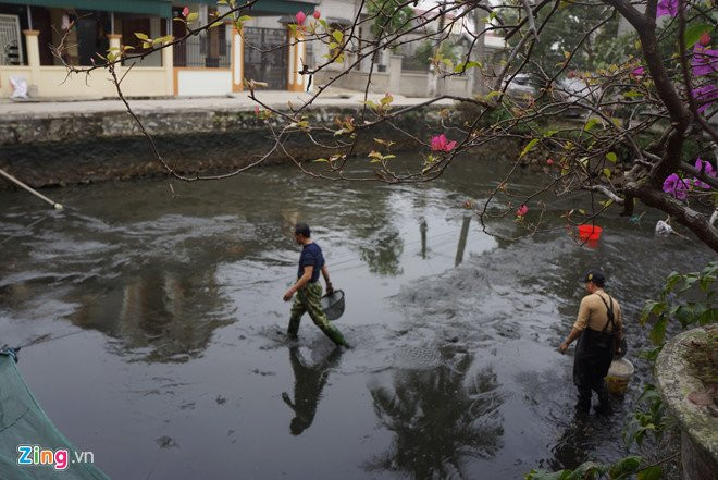 Lang ca chep noi tieng xu Thanh truoc ngay ong Tao ve troi