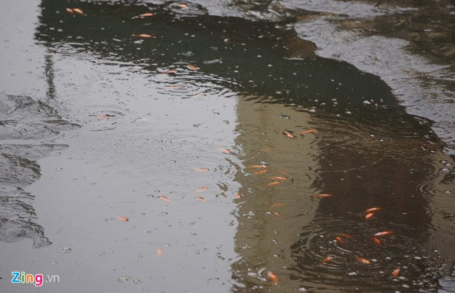 Lang ca chep noi tieng xu Thanh truoc ngay ong Tao ve troi