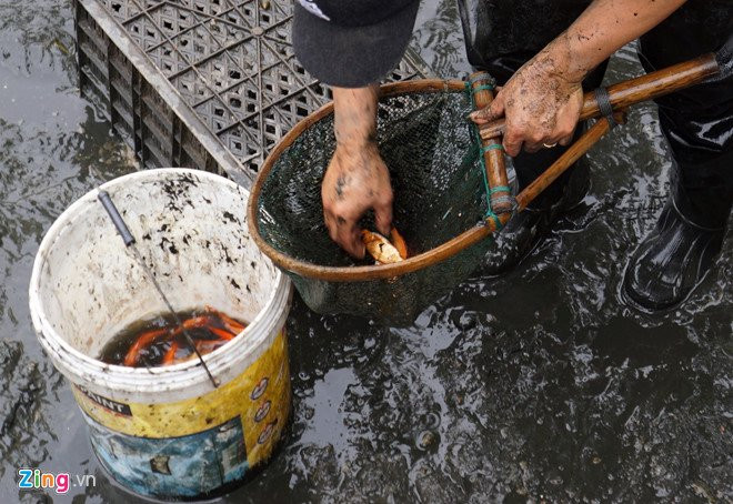 Lang ca chep noi tieng xu Thanh truoc ngay ong Tao ve troi