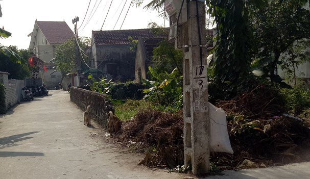 ngoi_nha_noi_xay_ra_vu_no_nguoi_than_dang_lam_dam_ma_cho_chau6815033_2912019