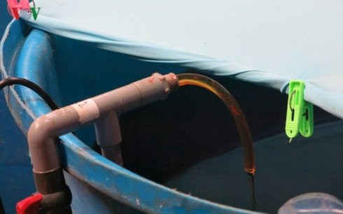 nuoc_mam_truyen_thong_ensu