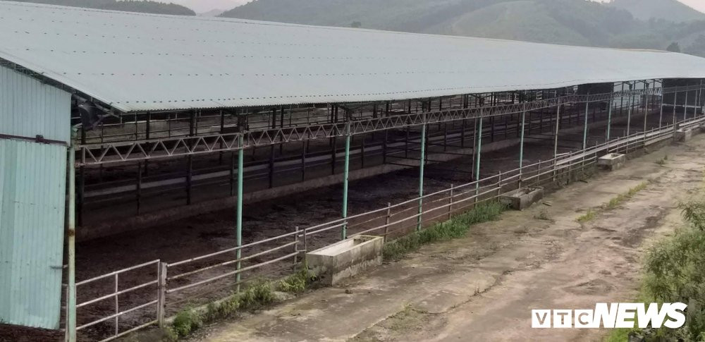 55731087_312778199414219_7562753838441037824_n 5